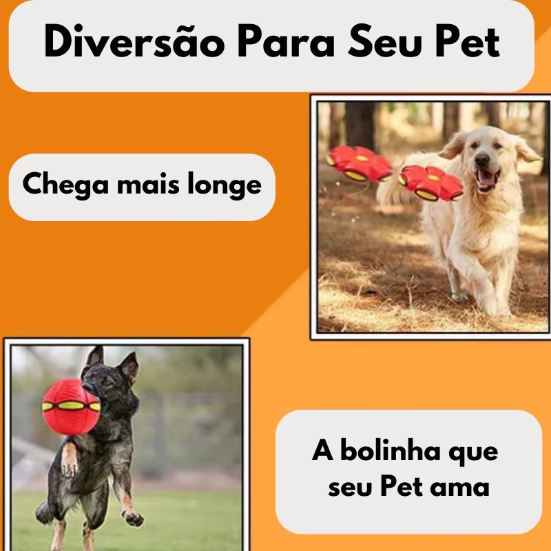 Disc & Ball -Diversão Sem Fim Para o Seu Amiguinho! 💞